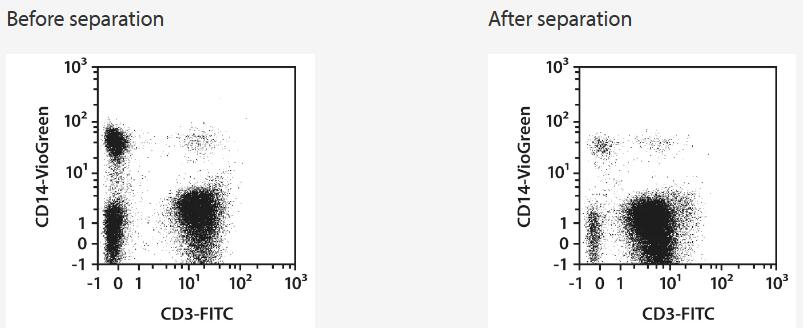 Separation of a Leukopak sample using the StraightFrom Leukopak CD3 MicroBead Kit and the MultiMACS Cell24 Separator Plus with the Multi-24 Column Blocks. Cells were fluorescently stained with REAfinity Antibodies CD3-FITC, CD14‑VioGreen, as well as CD45‑VioBlue and analyzed by flow cytometry using the MACSQuant Analyzer. Viable leukocytes were gated for analysis based on scatter signals, propidium iodide fluorescence, and CD45 expression.
